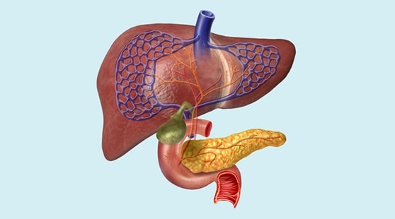 Hepatobiliary